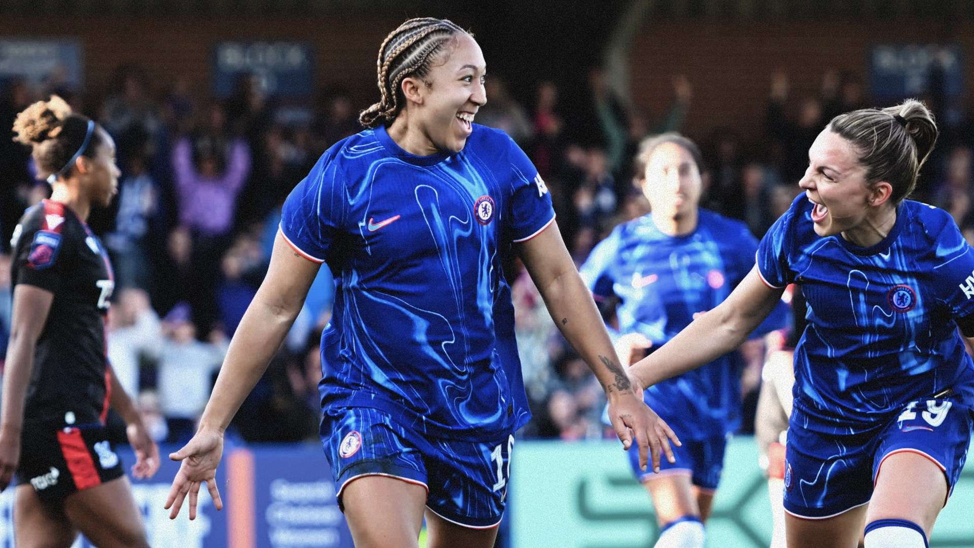 表明了他们 表明了他们